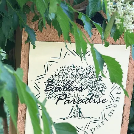 Ballas Paradise Messonette